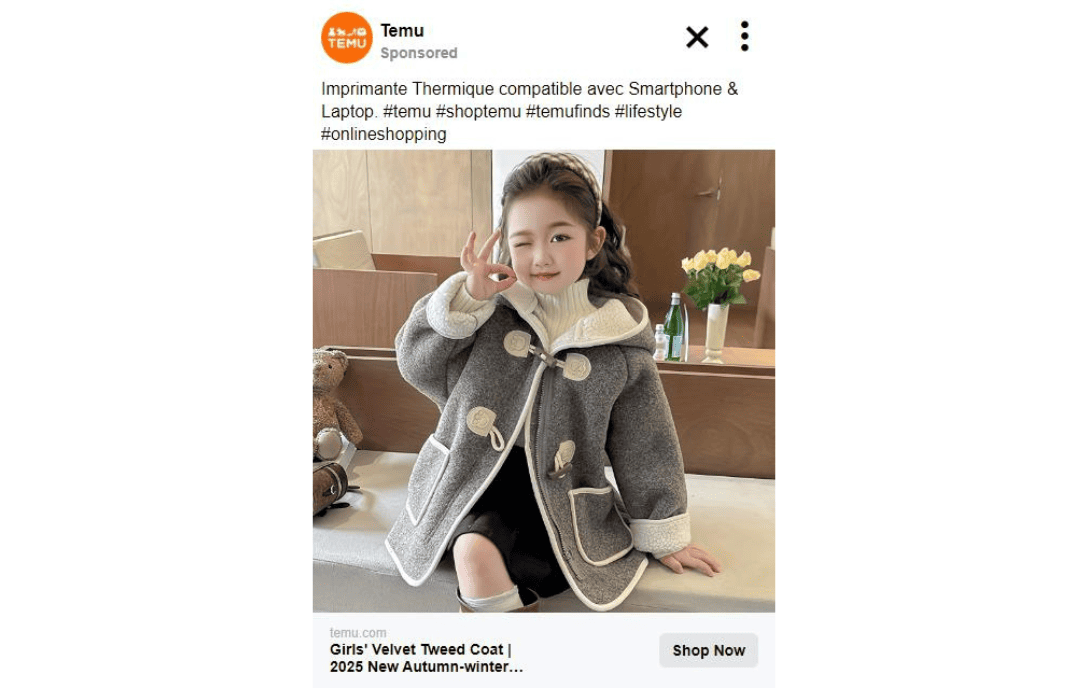 Temu Publicité Facebook