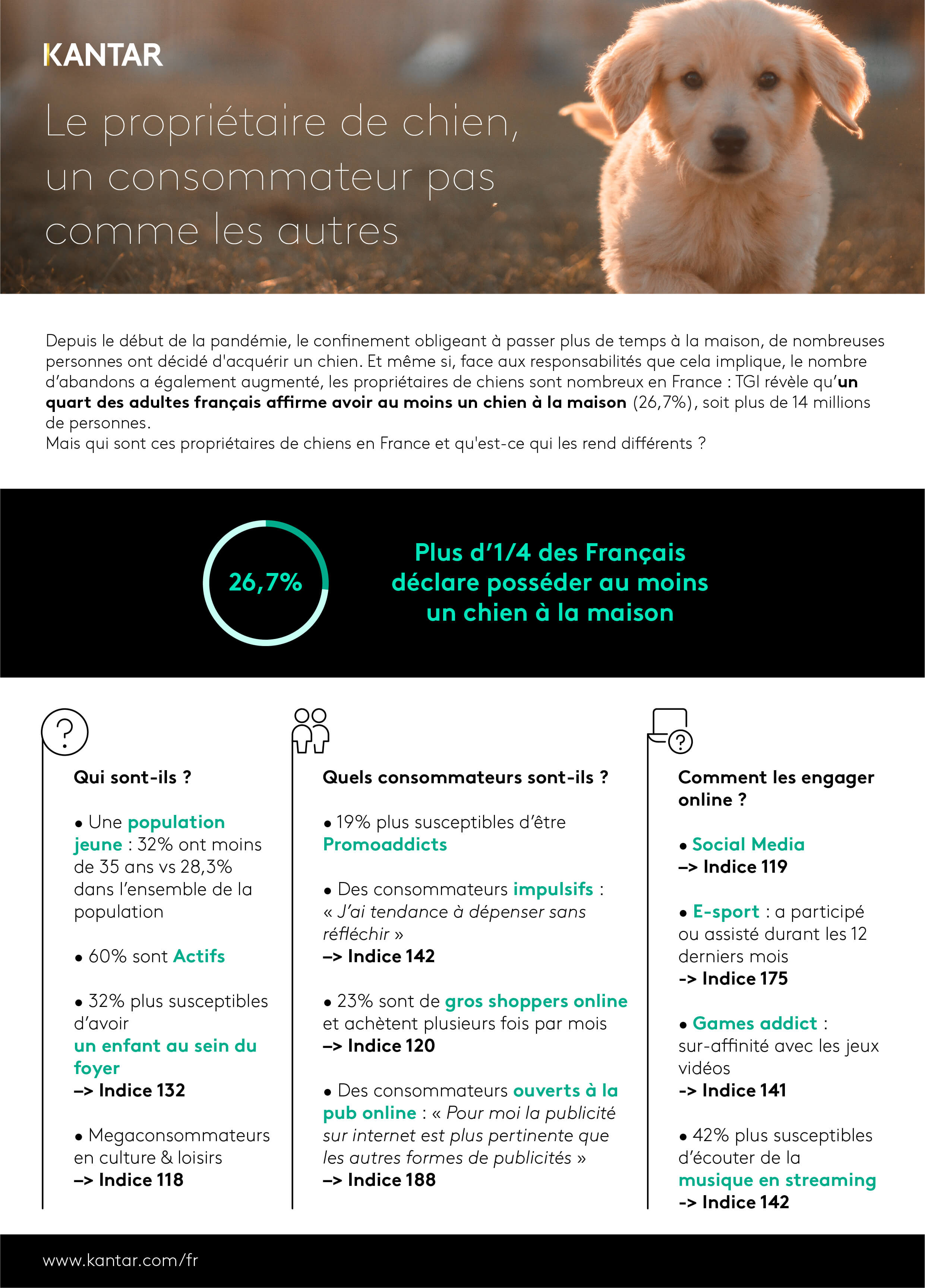 kantar 2021 article infographie document chien comportement