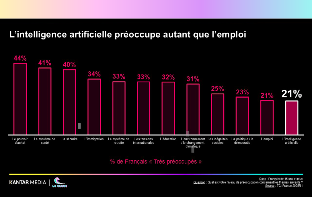 histogramme horizontal des préoccupations des français