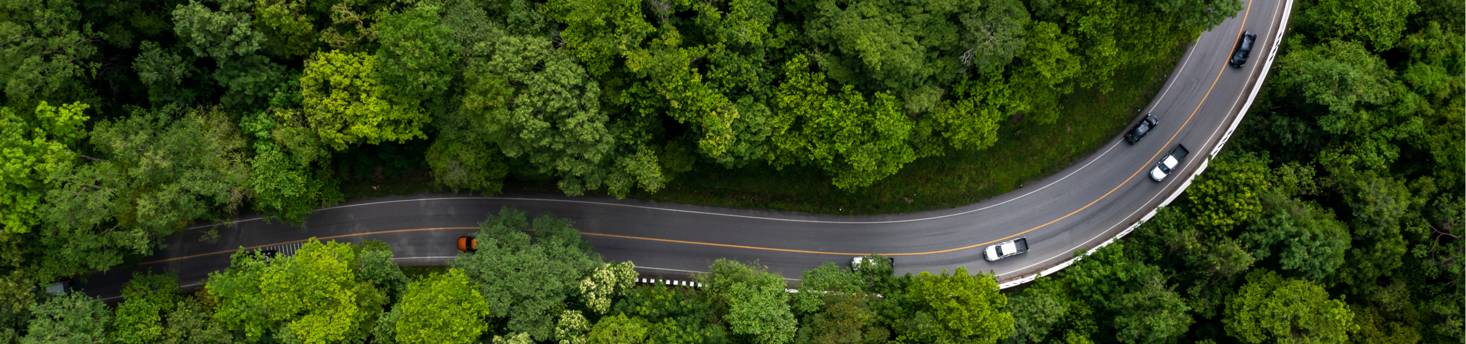 Article mobilité verte Chine