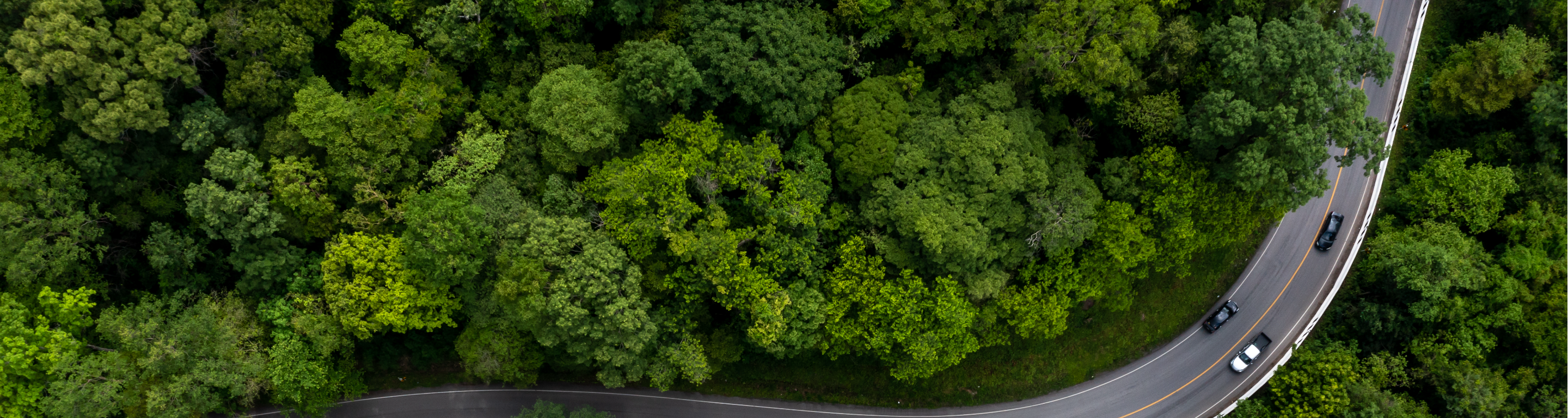 Article mobilité verte Chine