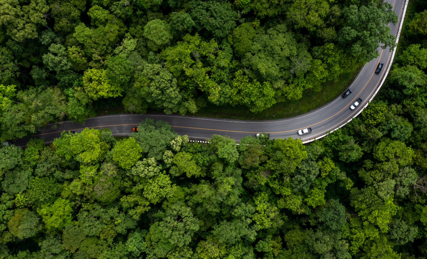 Article mobilité verte Chine