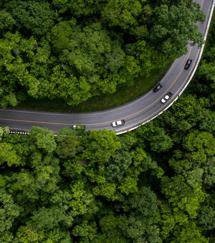 Des voitures roulent sur une route entourée de forêt, illustrant la progression des marques chinoises dans la publicité pour l’électromobilité en France