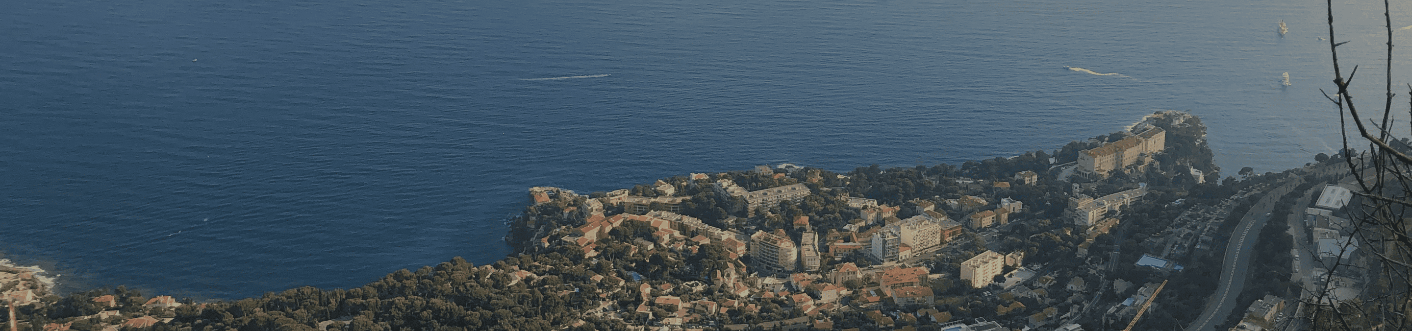 Infographie veille locale région PACA